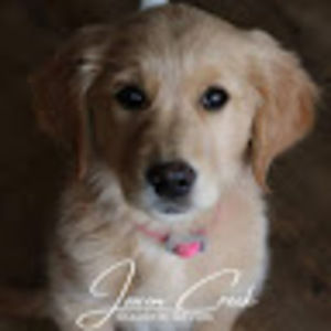 Meet your Posher, Eric & karlei